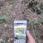 A smartphone equipped with navigation software OruxMaps and our satellite imagery