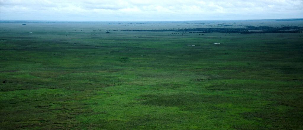 Vista aérea del los llanos del Beni o sabana, una de las ecorregiones más grandes de Bolivia